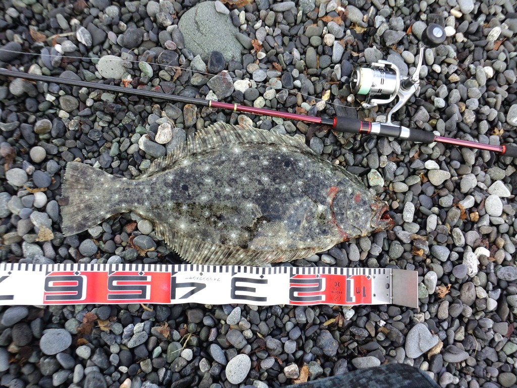 CA3I0031